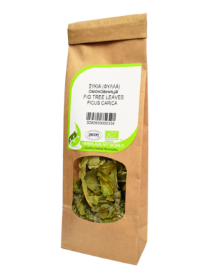Ficus-Communis-Leaves-Wild-remedy-herbs-Συκιά-Φύλλα votana