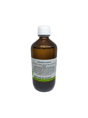 Laurus Nobilis-Wild-remedy-herbs-Δαφνη dafni 3