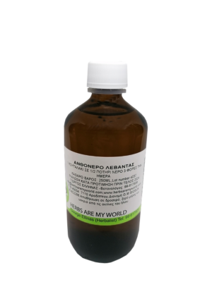 Lavandula-angustifolia-Wild-remedy-herbs-Λεβάντα levanta
