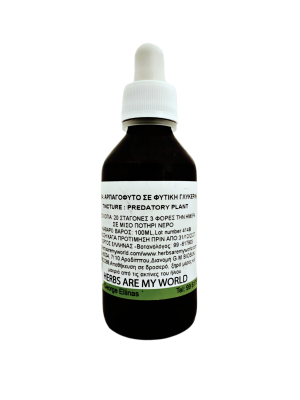 arpagofito-herbs-are-my-worls Αρπαγόφυτο